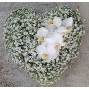 Gypsophilahjerte med orkide