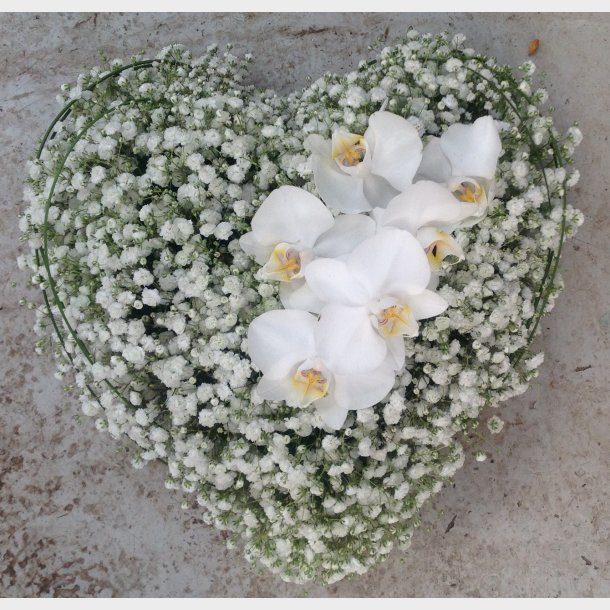 Gypsophilahjerte med orkide