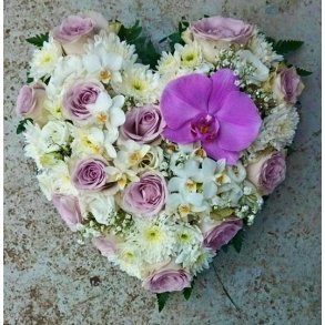 Hvitt og lyselilla hjerte 