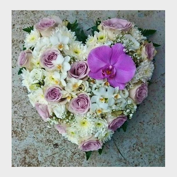 Hvitt og lyselilla hjerte 