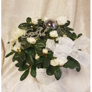 Hvit julepyntet azalea