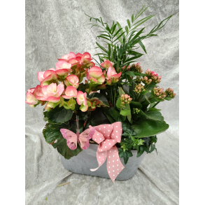 Inne-sammenplantninger