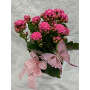  Rosa ildtopp med potte og pynt