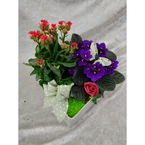 Hjertelige gratulasjoner