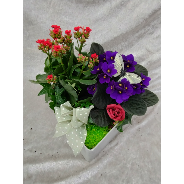 Hjertelige gratulasjoner