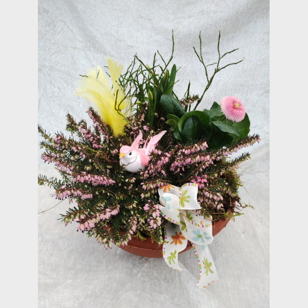 S�te v�rblomster