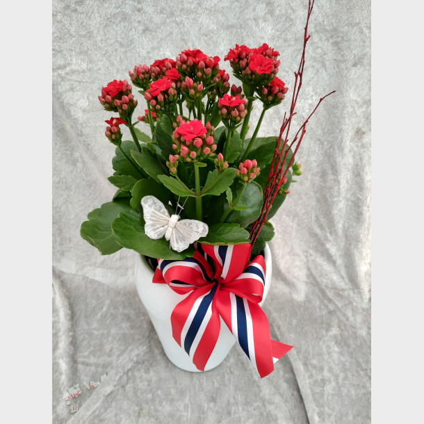 Pyntet 17 mai ildtopp