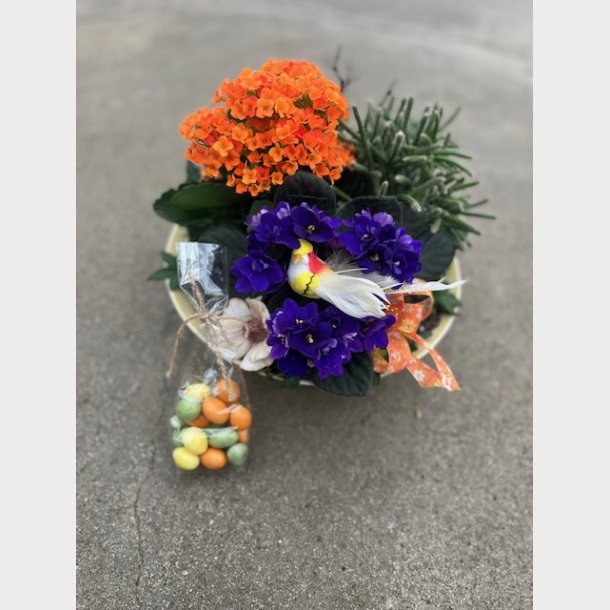 Farsdagsgave med sjokolademandler