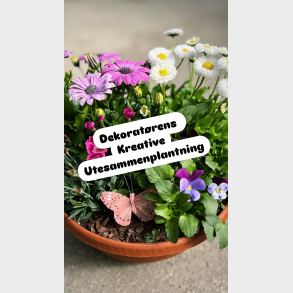 Dekorat�rens kreative ute sammenplantning