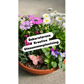 Dekoratrens kreative ute sammenplantning